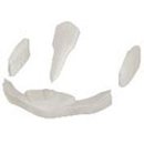 Plastik M5 Rookie