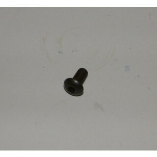 IAME Schraube M5 x10 mm Ausgleichswelle X30 No.123
