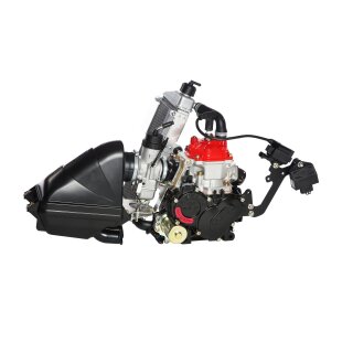 Rotax 125 Junior MAX evo Motor ohne Zubehör