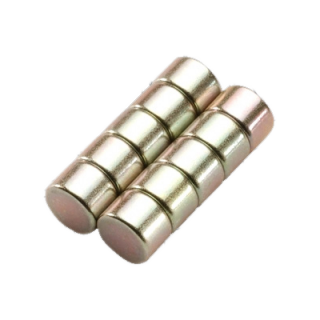Alfano Magnet (1 Stück). Ø6x4mm