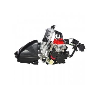 Rotax 125 Mini MAX evo MY20 Motor