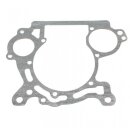 ROTAX Dichtung Wasserpumpe No. 17