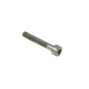 ROTAX Schraube M6x45 8.8 No. 18
