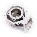 ROTAX Zylinder NI SI C Junior/Mini/Micro No. 02