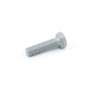 ROTAX Sechskantschraube M8x30 No. 07