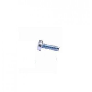 ROTAX Taptite-Schraube M4x8 No. 15