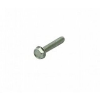 ROTAX Taptite-Schraube M5x25 No. 15