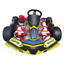 XXS Babykart Kinderkart Honda GX35 4-Takt 35ccm RMW Design